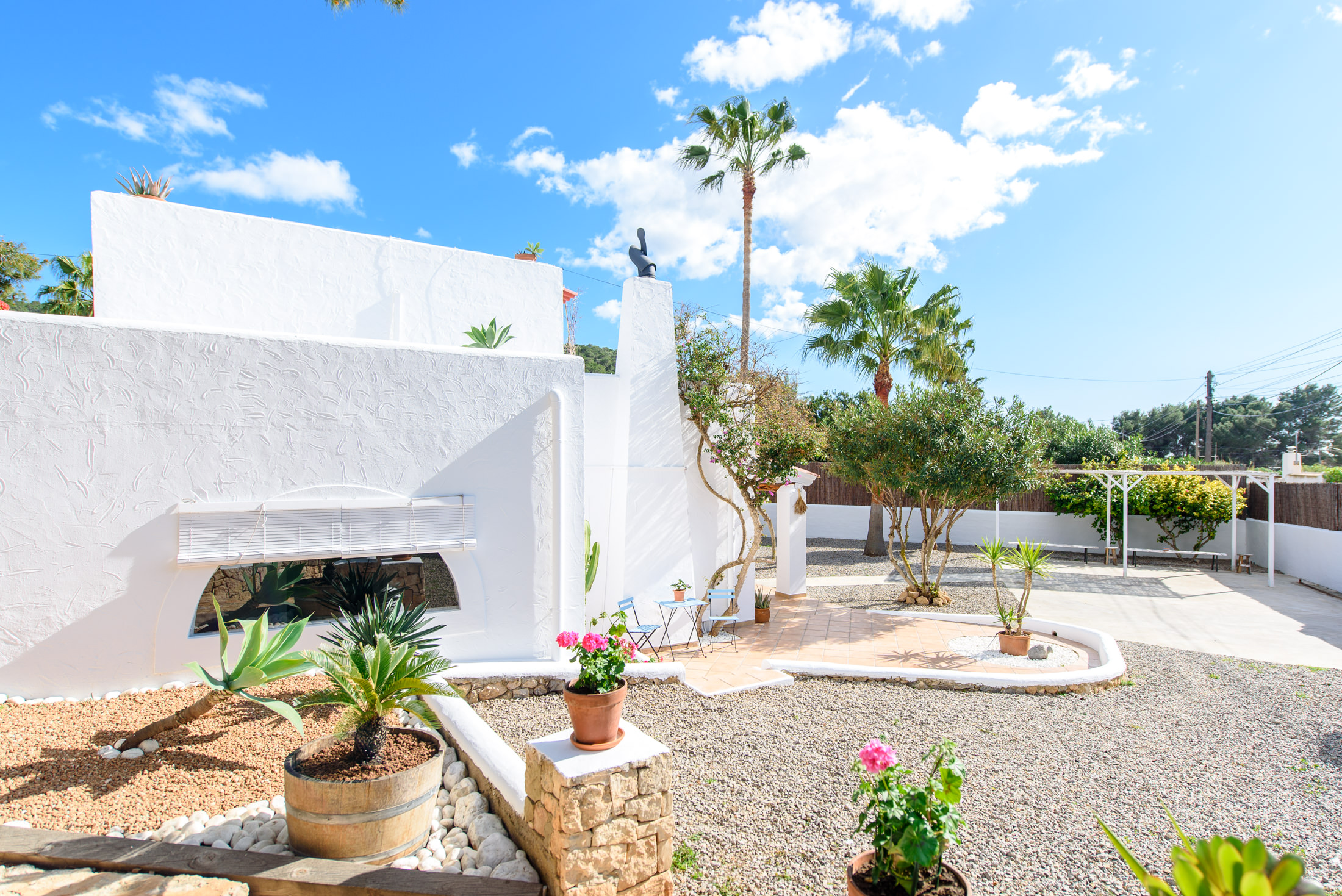 resa estates ibiza for sale house  ses salines 2022 finca garden.jpg